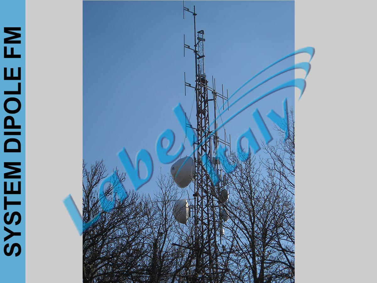 Label Italy Demountable FM Dipoles Antenna Systems